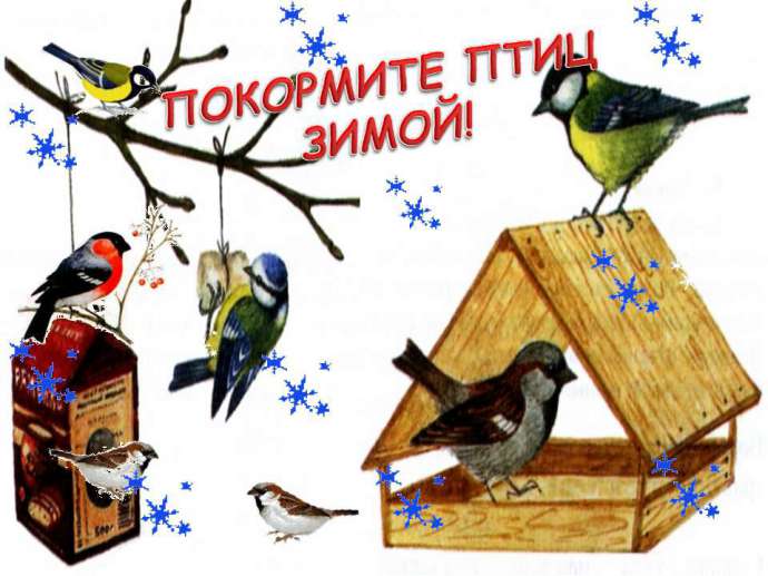 Всероссийская  эколого-культурная акция «Покормите птиц зимой!».