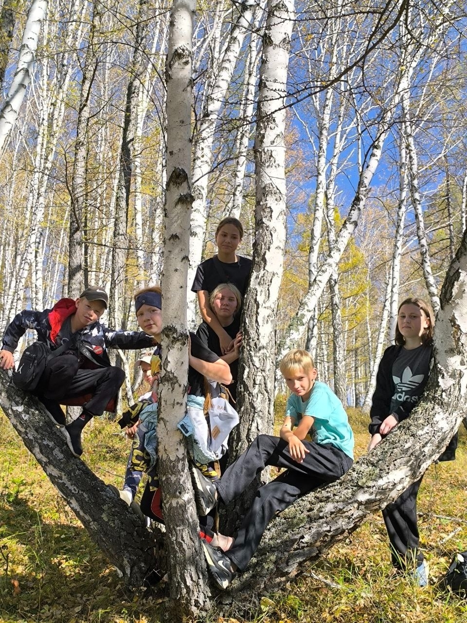 Юные биологи снова на прогулке!.