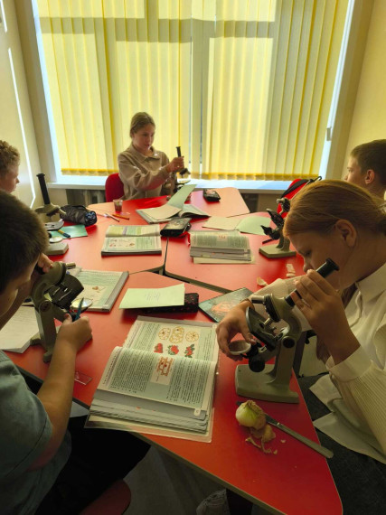 Лабораторная работа «Приготовление и рассматривание препарата кожицы чешуи лука под микроскопом»..