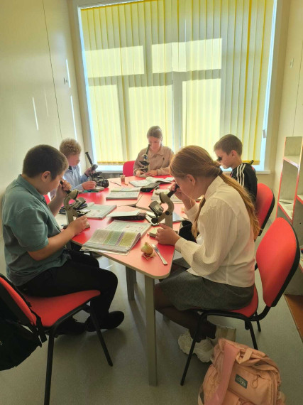 Лабораторная работа «Приготовление и рассматривание препарата кожицы чешуи лука под микроскопом»..