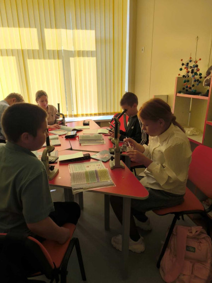 Лабораторная работа «Приготовление и рассматривание препарата кожицы чешуи лука под микроскопом»..