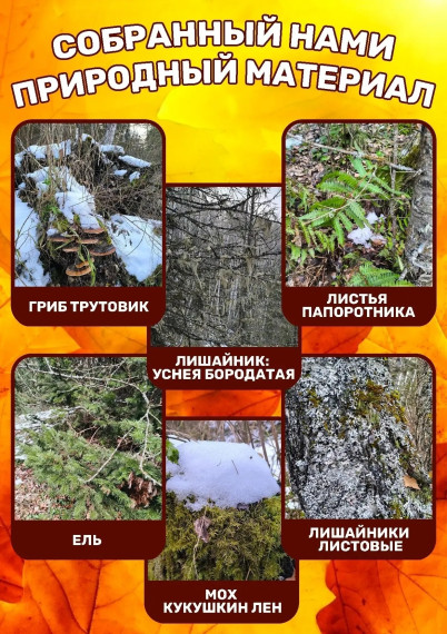 Юные биологи вновь гуляют по окрестностям села!.