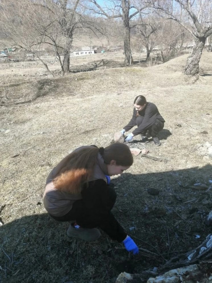 Активный отдых на природе.